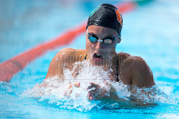 UM Hurricanes Swim/Dive Dual Meet