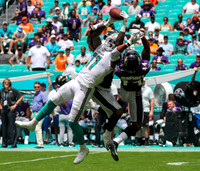 NFL 2019: Ravens 59:10 Dolphins