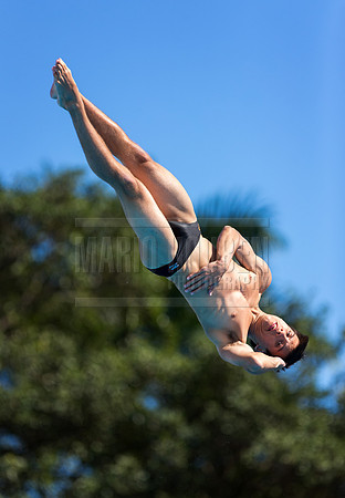 UM Hurricanes Swim/Dive Dual Meet