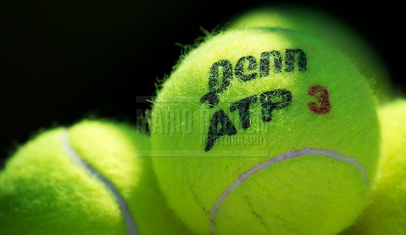 Tennis 2017: ATP Delray Beach Open FEB 26