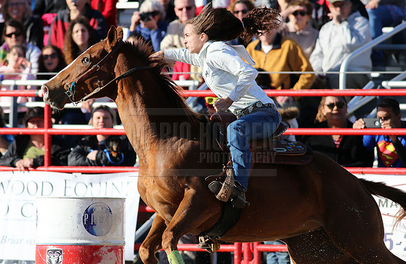 67th Annual Homestead Rodeo