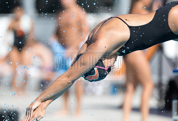 UM Hurricanes Swim/Dive Dual Meet