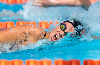 UM Hurricanes Swim/Dive Dual Meet