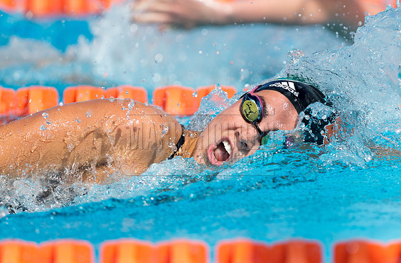 UM Hurricanes Swim/Dive Dual Meet