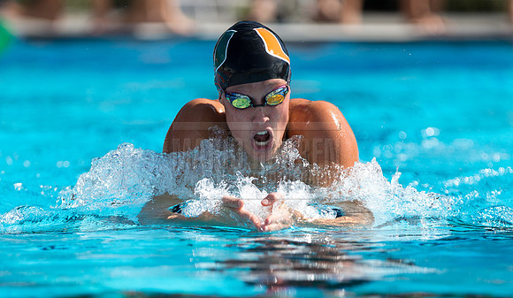 UM Hurricanes Swim/Dive Dual Meet