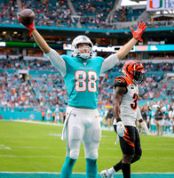2019 NFL - Bengals vs Dolphins DEC 22