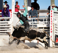 2019 Homestead Rodeo - JAN 19