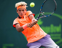METROPOLIA Orange Bowl 2016