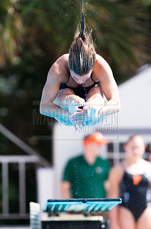 UM Hurricanes Swim/Dive Dual Meet