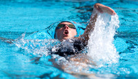 UM SWIM/DIVE MEET