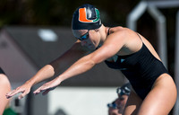 UM Hurricanes Swim/Dive Dual Meet