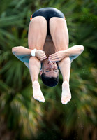 UM Hurricanes Swim/Dive Dual Meet