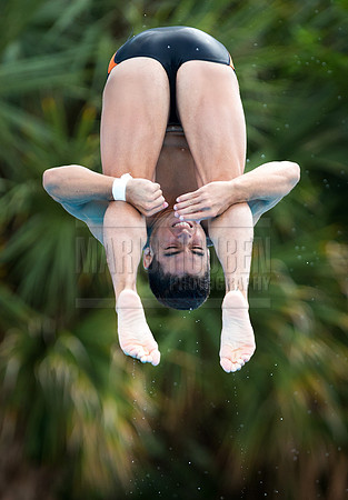 UM Hurricanes Swim/Dive Dual Meet