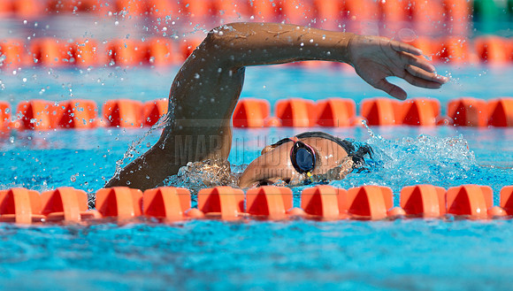 UM Hurricanes Swim/Dive Dual Meet