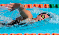 UM Hurricanes Swim/Dive Dual Meet
